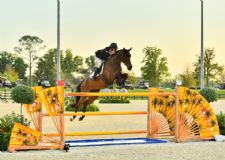 Sharn Wordley Blazes the Trail in the $100,000 Hampton Green Farms Grand Prix at World Equestrian Center – Ocala