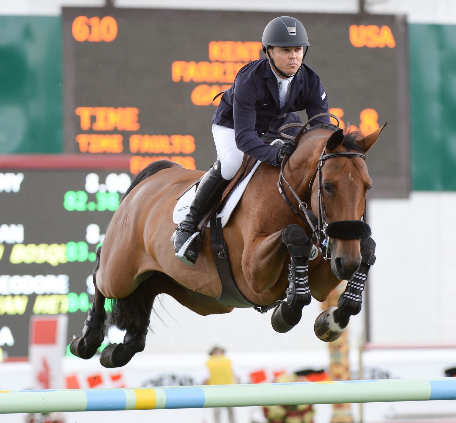 Лошадь года 2021. Кент Фаррингтон конкур. Гнедая лошадь конкур. Horse jumping  конкур.