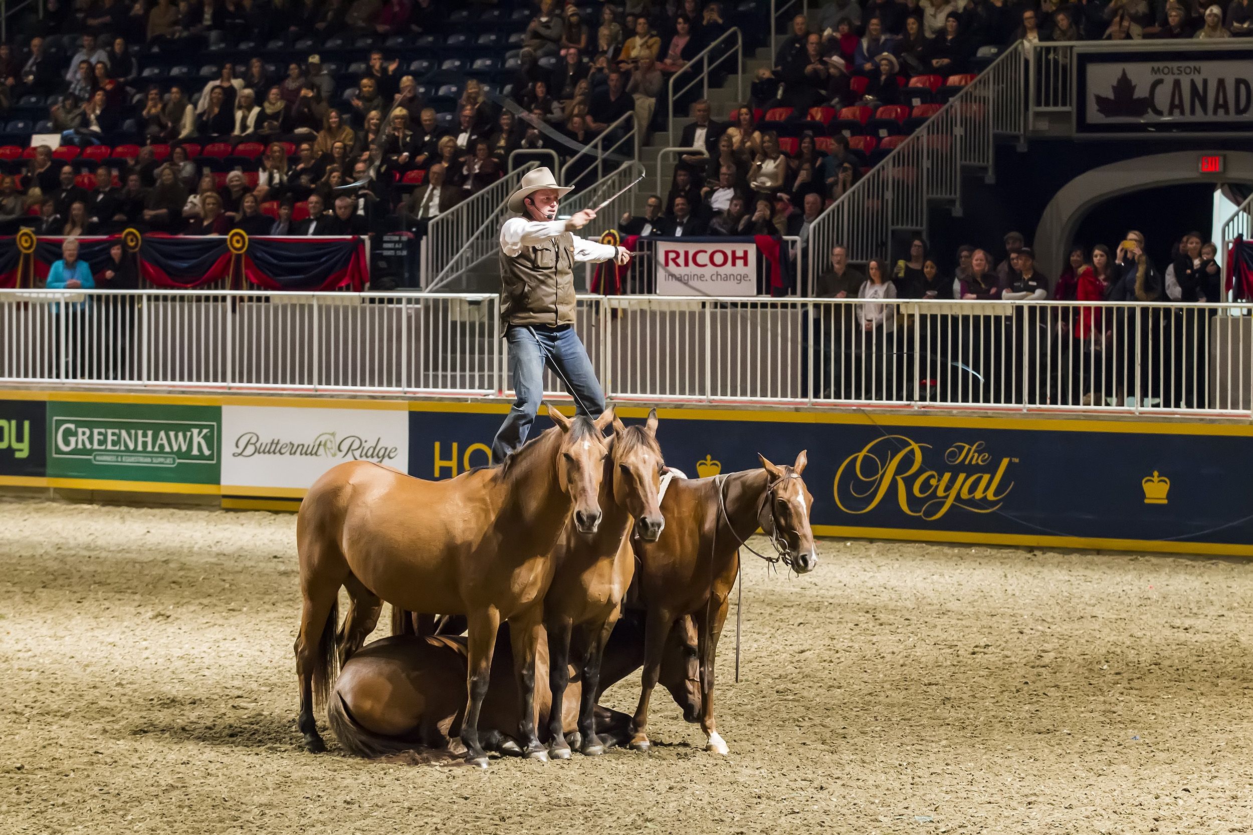 2018 Royal Horse Show Features International Show Jumping At Its