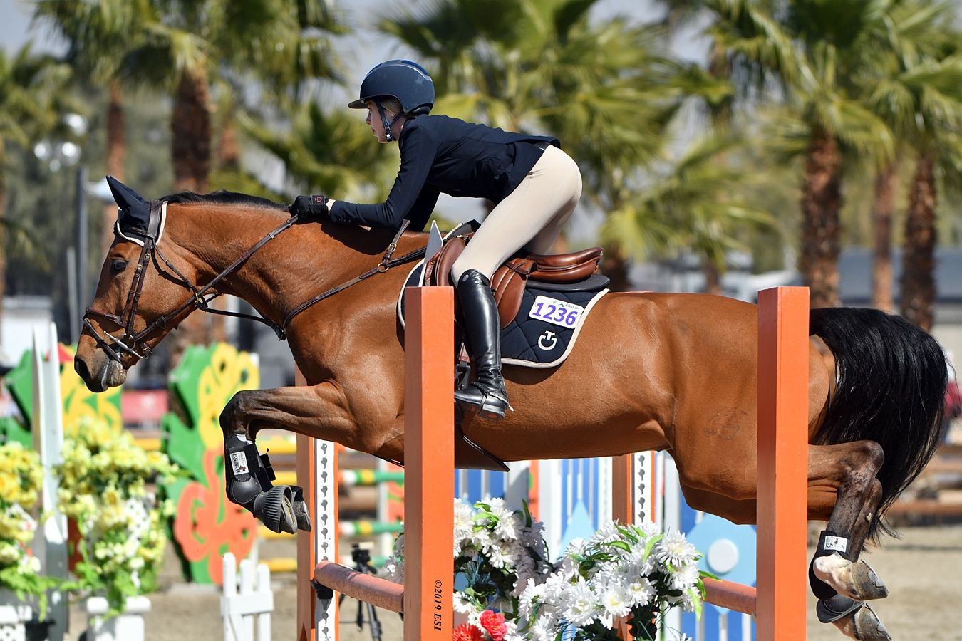 Hannah Selleck S Descanso Farm Concludes Successful California