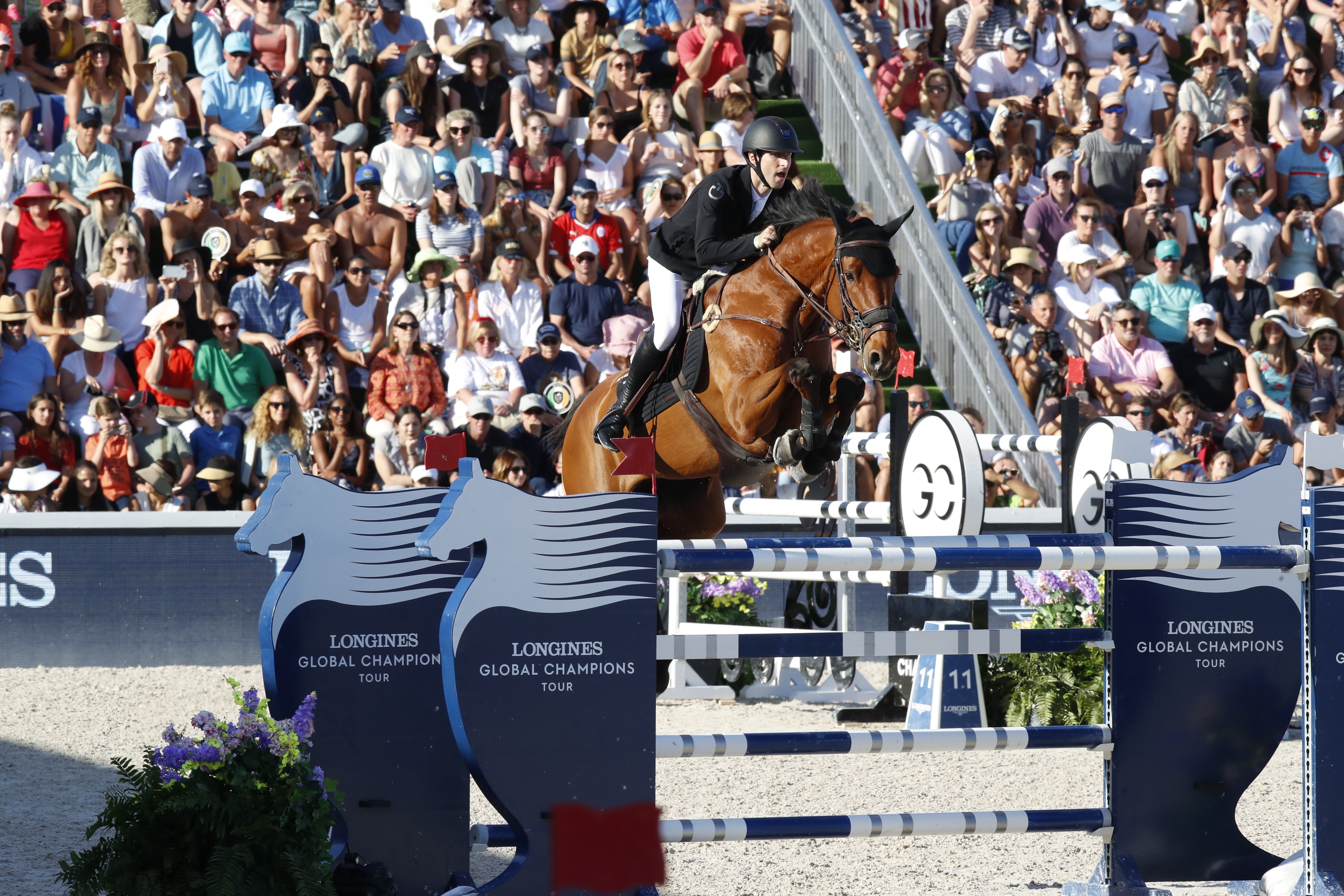 Supermarked faldskærm cafeteria Longines Global Champions Tour of New York: Show Jumping A-List, GCL Final  Star Strikers, An Unmissable Showdown, and More!