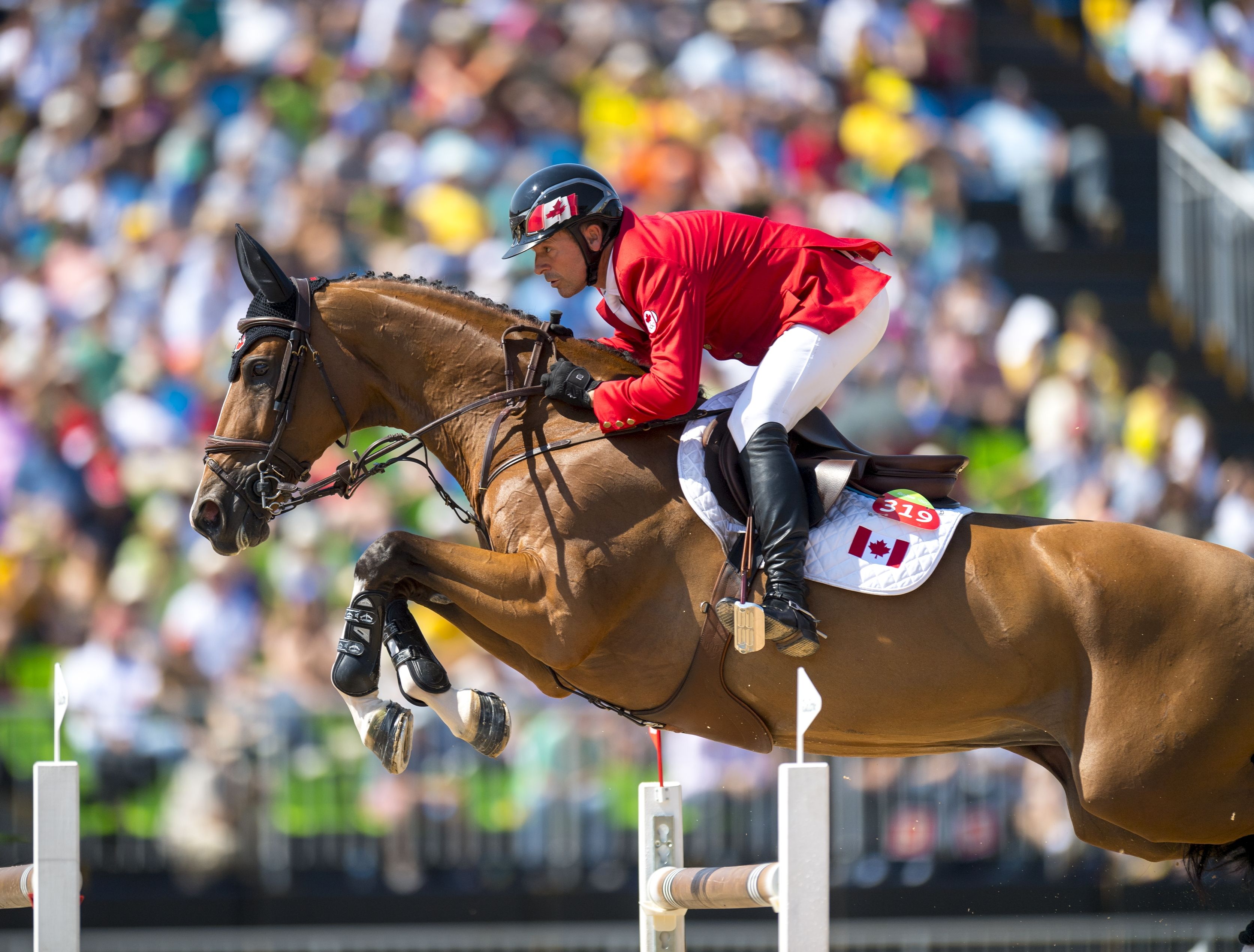 Olympic Champion Eric Lamaze To Compete At Toronto S Royal Horse Show