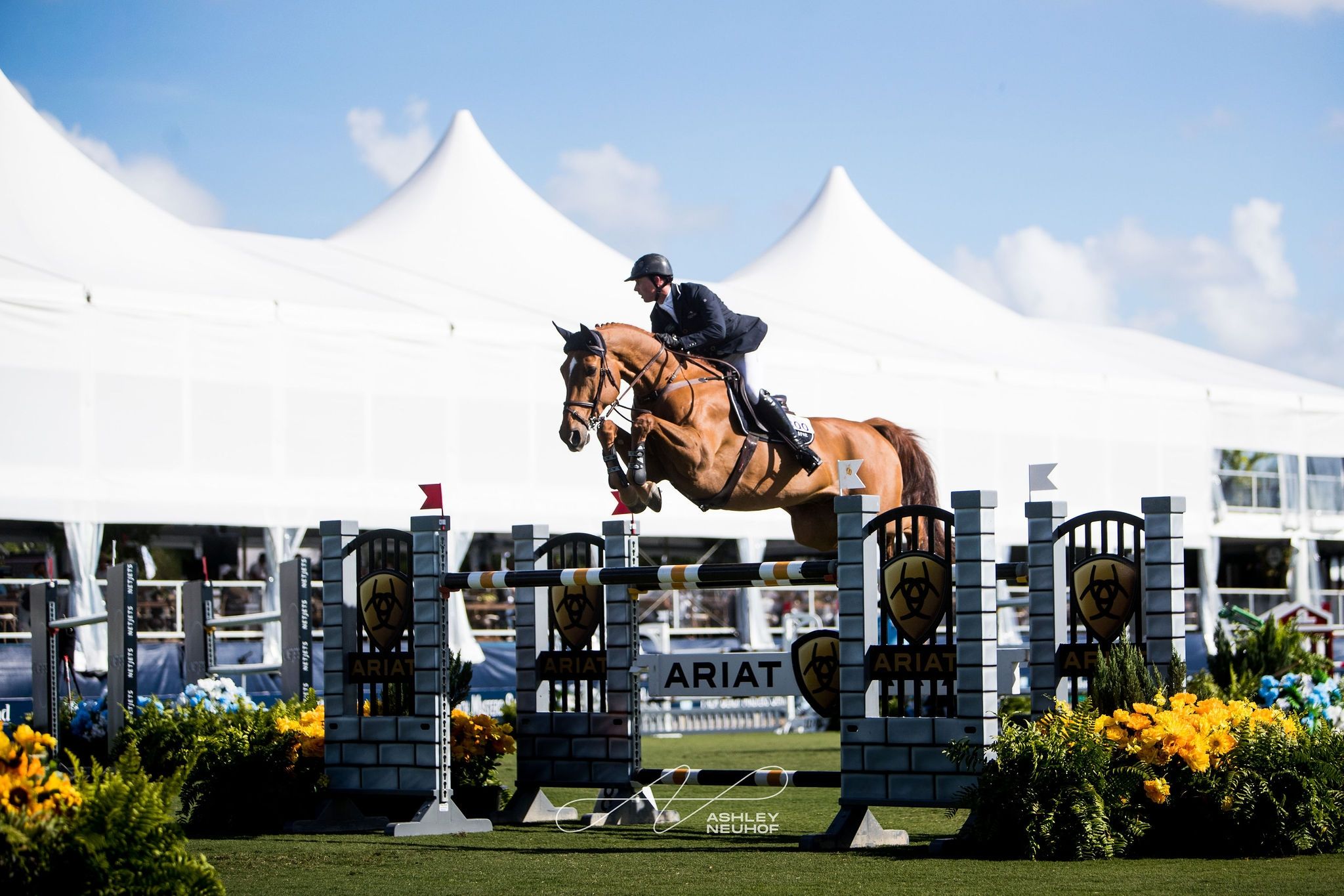 Horse and Country To Exclusively Live Stream the Inaugural ArenaMend Classic From The Greenbrier to Show Jumping Fans Worldwide