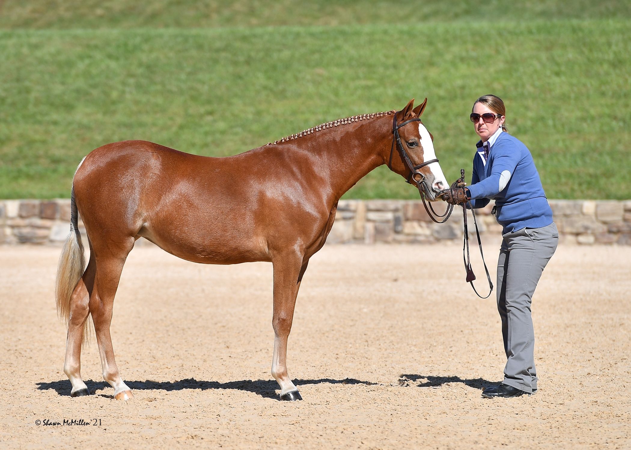 Horses of the Sun ロバート・ヴァヴラ Horses of the Sun ロバート・ヴァヴラ Horses of the Sun by