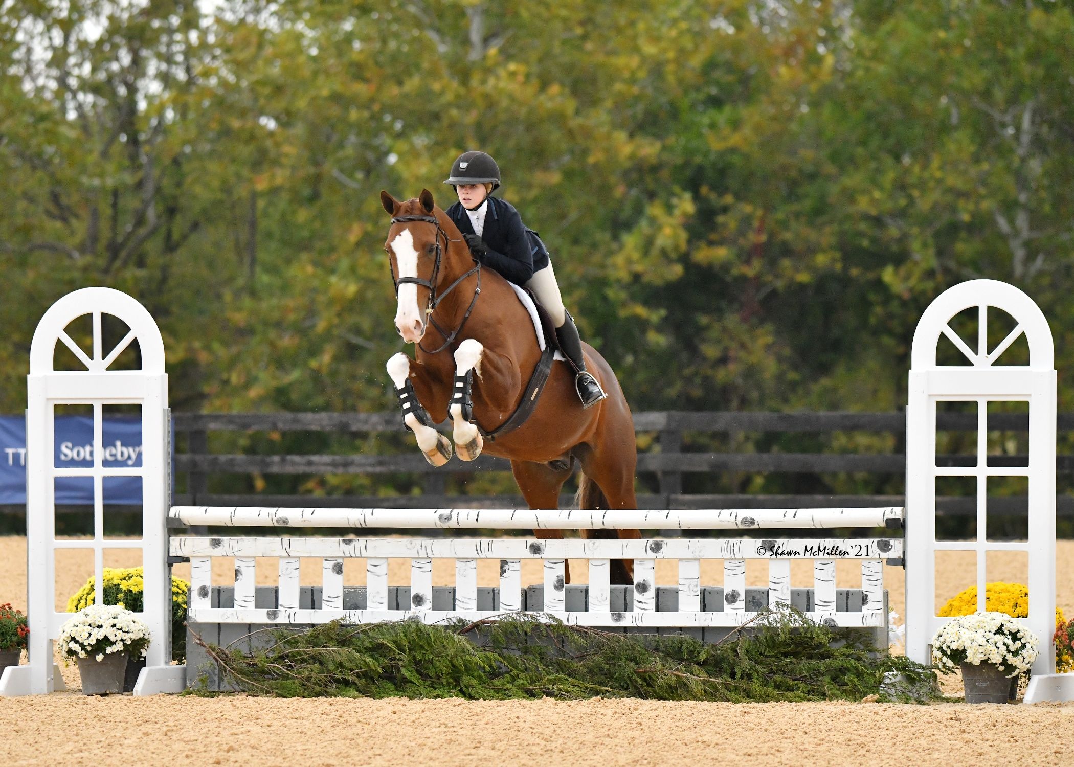 New Champions Were Crowned at the 2021 WIHS Regional Horse
