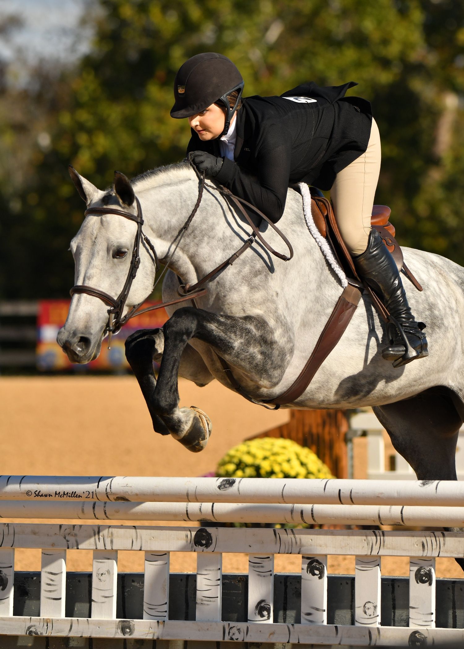New Champions Were Crowned at the 2021 WIHS Regional Horse
