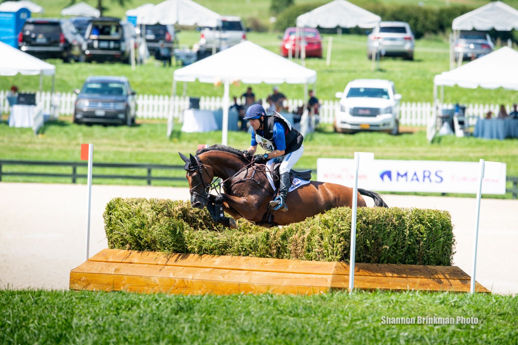 equestrian jumping online stream