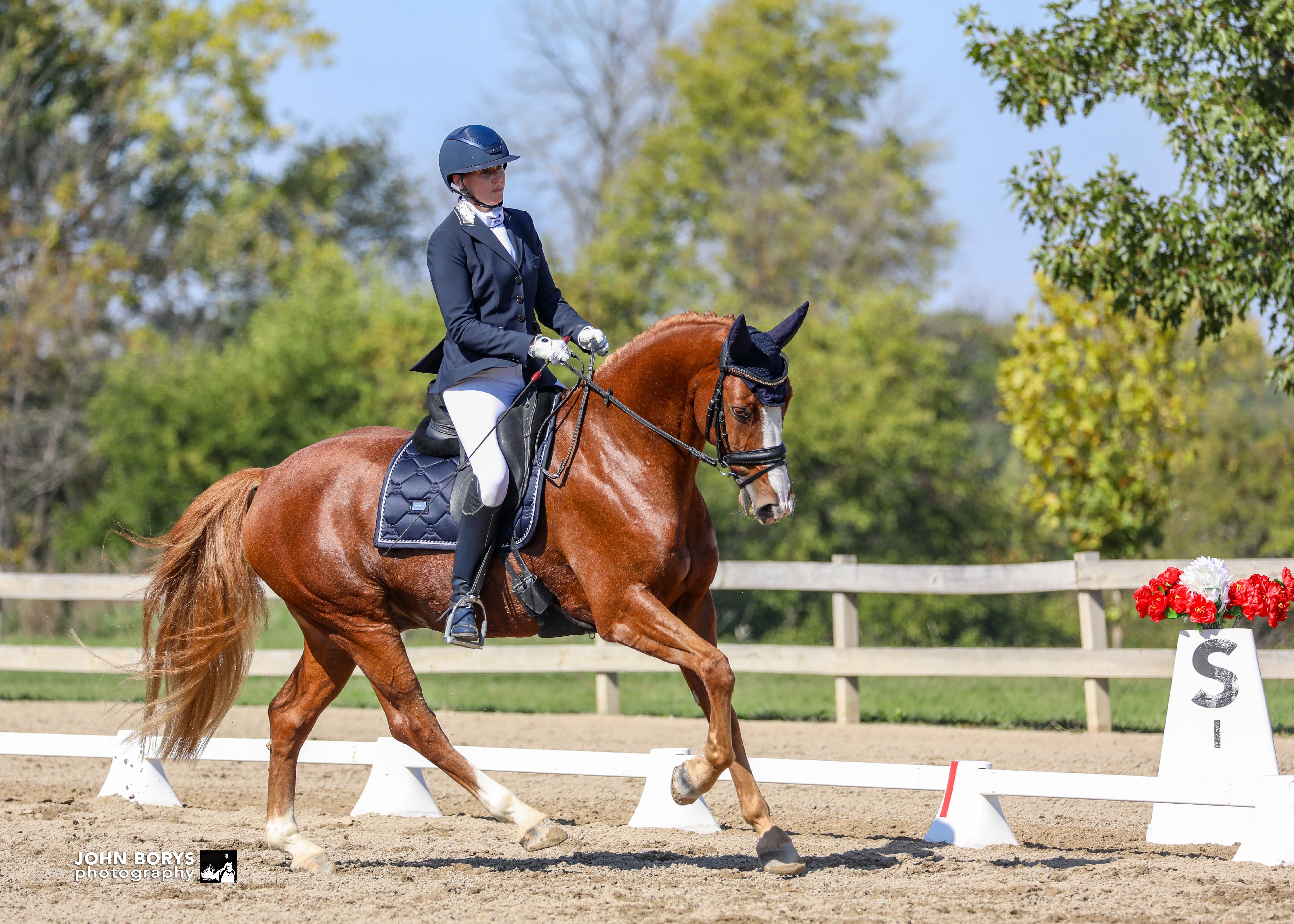 ザシアン プレイマット Regional Championships 2020 ザシアン プレイマット Regional Championships 2020 - メルカリ