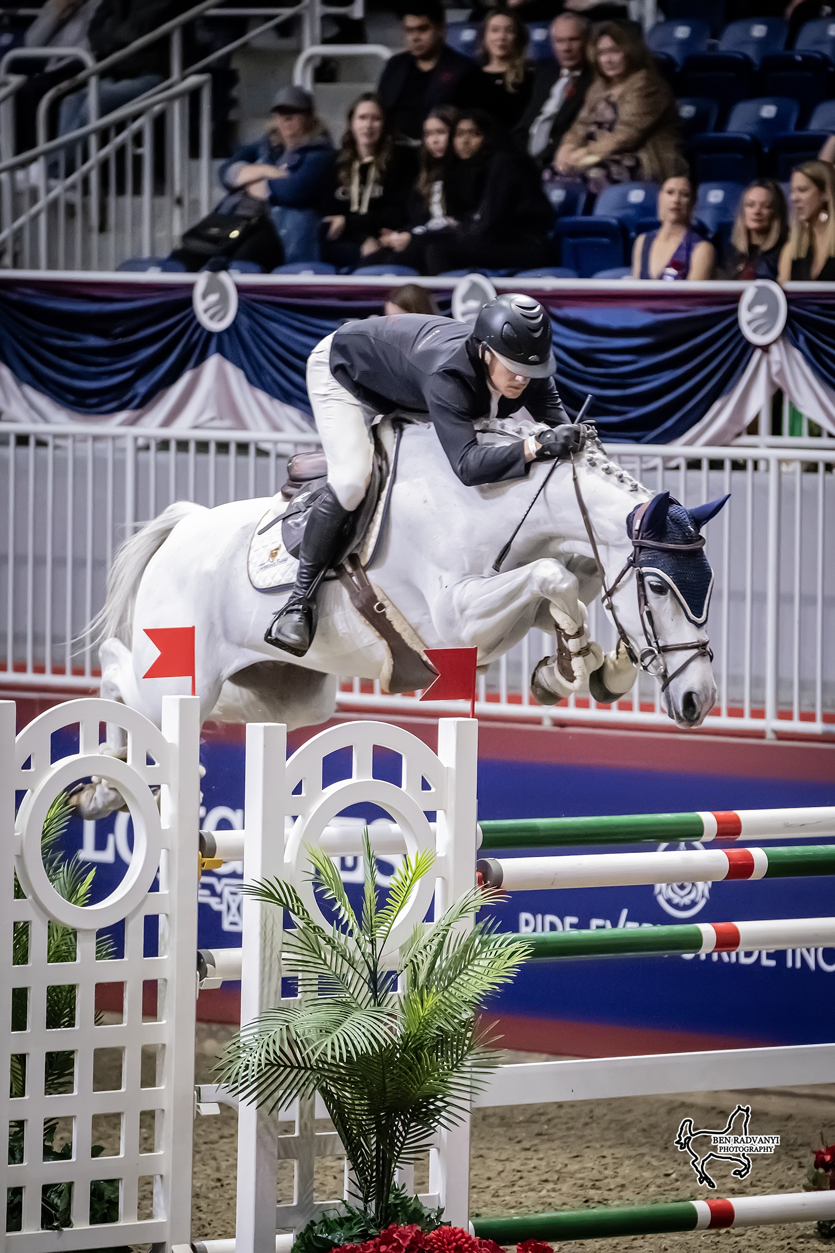 Alex Matz Doubles Down at Toronto's Royal Horse Show
