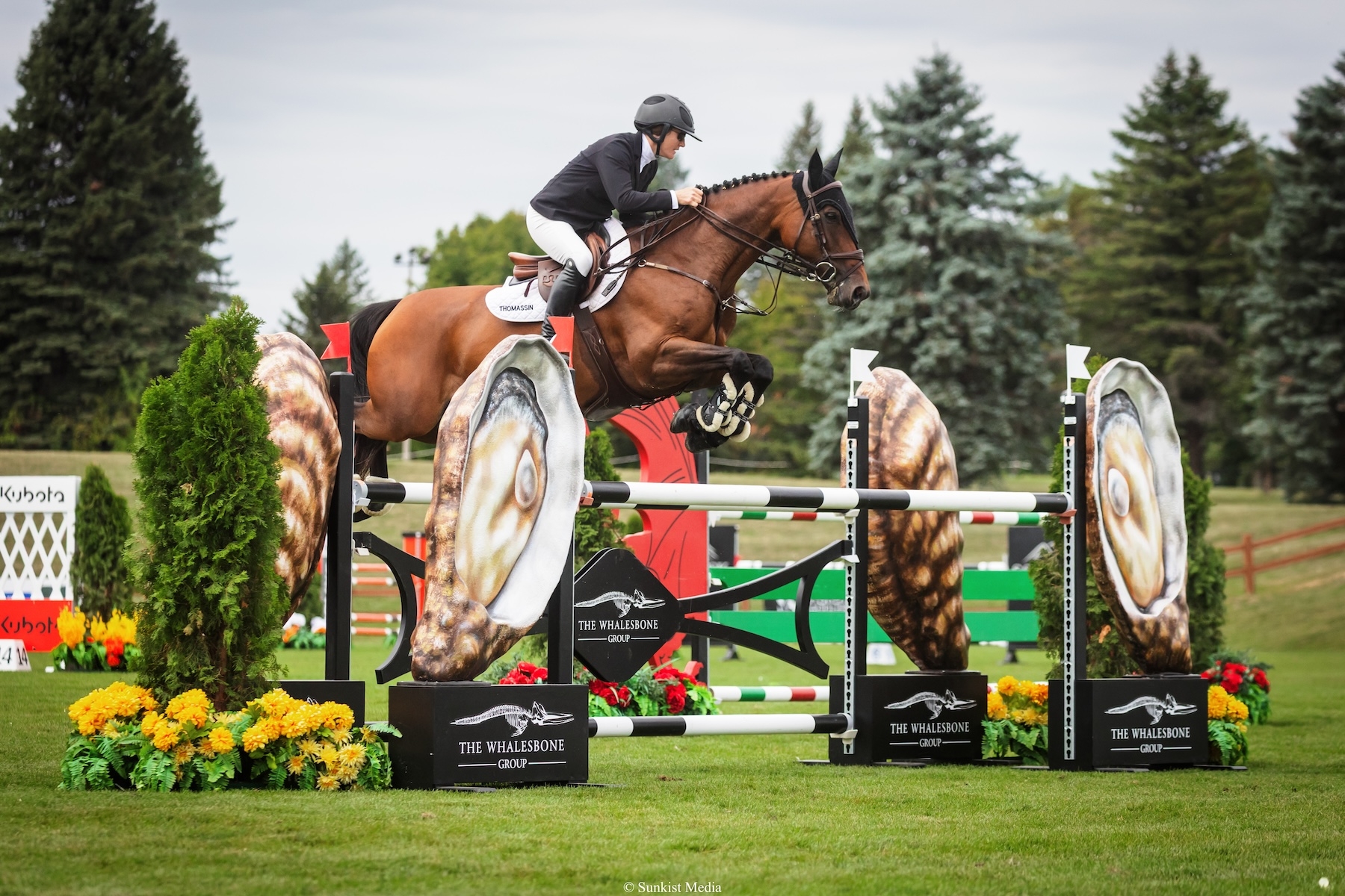 Amy Millar Leaves Her Mark to Kick Off MLSJ CSI5* Action - Traverse City Horse  Shows, image size:1800x1200