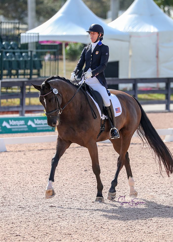 Strong Showing for U.S. ParaEquestrian Dressage Team at Adequan