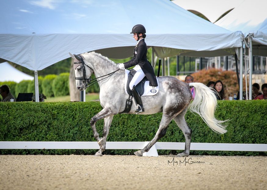 Region 1 Wins Gold by a Whisker in USDF North American Young Rider
