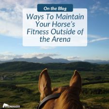 Ways To Maintain Your Horse’s Fitness Outside of the Arena From BarnManager