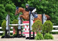 Point Leaders Take the WIHS Qualifying Season by Storm