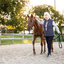 Join DEFHR's New Horse Owner Clinic, Alaska's Hoof Transformation, and More From Days End Farm Horse Rescue