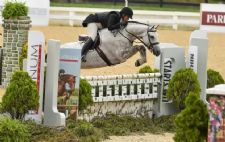 Research Groups Announced at FEI Sports Forum, Plus the Liabilities Around Dogs and Horses