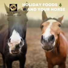 Holiday Horse Treats, Busting Barn Myths, and More!