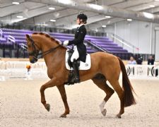 Darnell Dances to Grand Prix Freestyle CDI3* Win, Batchelder and Nova Are Super in Special at 2026 WEC March Dressage CDI3*