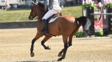 Leone Newsletter: Advancement Without Ability Is the Hidden Risk We’re Ignoring in Modern Jumping